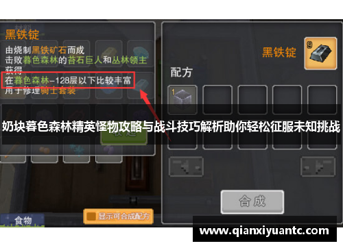 奶块暮色森林精英怪物攻略与战斗技巧解析助你轻松征服未知挑战