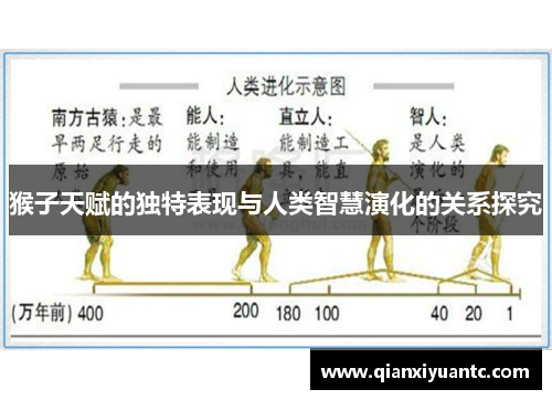 猴子天赋的独特表现与人类智慧演化的关系探究
